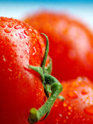 番茄减肥食谱